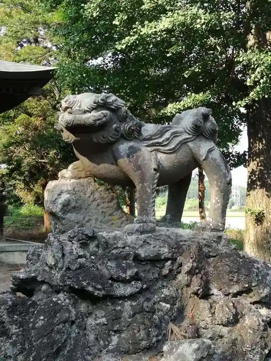 桜町二宮神社の狛犬