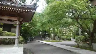 大興善寺(佐賀県)
