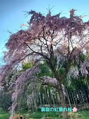 上合寺(福島県)