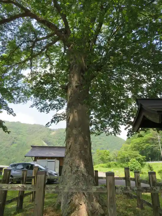 旗挙八幡宮の自然
