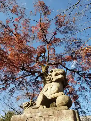 天祖神社の狛犬