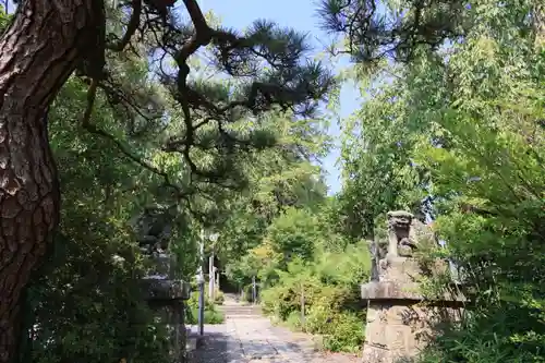 豊景神社の狛犬