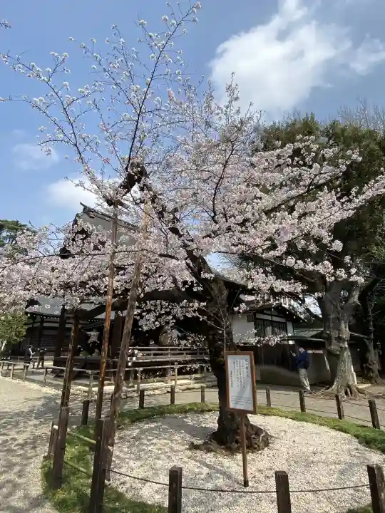 靖國神社(東京都)