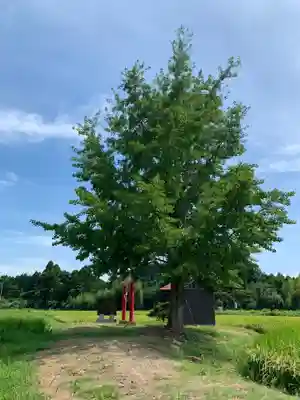 祖母神(千葉県)