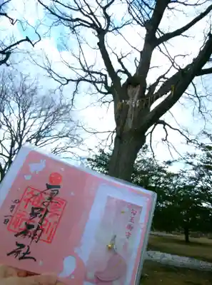 厚別神社(北海道)