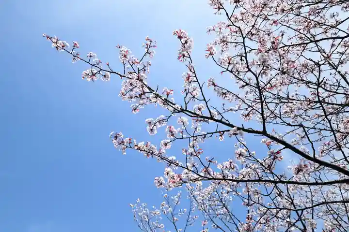 金峯神社(吉野町)の自然