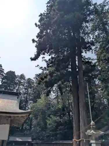 伊和神社の{uncategorized: "未分類", other: "その他", undefined: "問題あり", building: "その他建物", grave: "お墓", sacred_gate: "鳥居", guardian: "狛犬", statue: "像", buddha: "仏像", history: "歴史", nature: "自然", garden: "庭園", animal: "動物", pagoda: "塔", temizu: "手水舎", mountain_gate: "山門・神門", sanctuary: "本殿・本堂", subordinate: "末社・摂社", art: "芸術", scenery: "景色", jizo: "地蔵", ema: "絵馬", goshuin: "御朱印", omikuji: "おみくじ", items: "授与品その他", amulet: "お守り", goshuincho: "御朱印帳", eats: "食事", festival: "お祭り", votive_dance: "神楽", shichigosan: "七五三参", wedding: "結婚式", experience: "体験その他", initially: "初詣", around: "周辺", anti_infection: "感染症対策"}