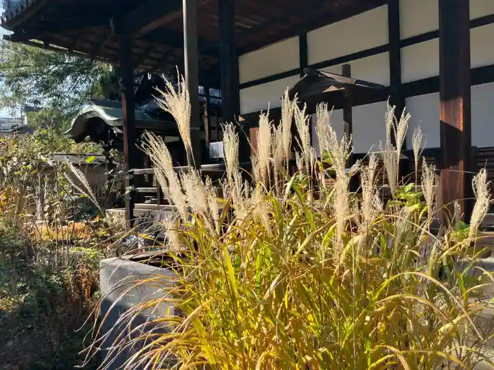 本長寺(滋賀県)