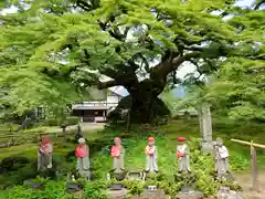 西善寺(埼玉県)