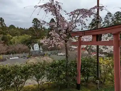 正法寺(京都府)