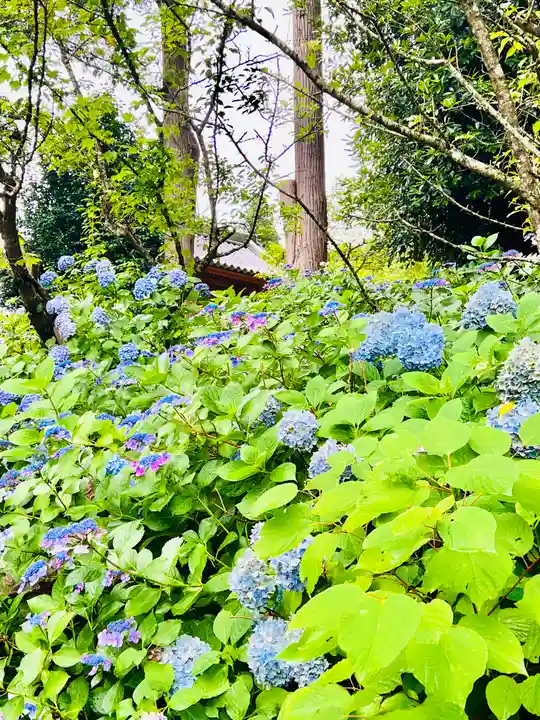 彌勒寺(宮城県)