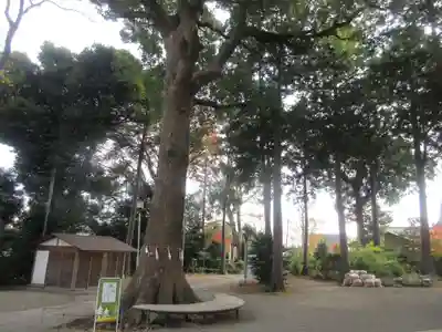 星川杉山神社のその他建物