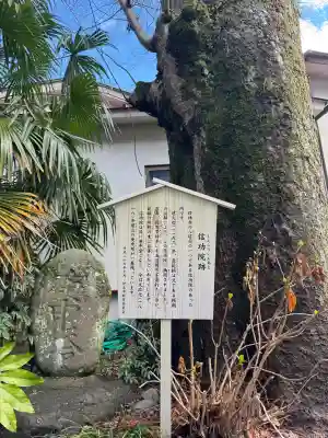 日枝神社の{uncategorized: "未分類", other: "その他", undefined: "問題あり", building: "その他建物", grave: "お墓", sacred_gate: "鳥居", guardian: "狛犬", statue: "像", buddha: "仏像", history: "歴史", nature: "自然", garden: "庭園", animal: "動物", pagoda: "塔", temizu: "手水舎", mountain_gate: "山門・神門", sanctuary: "本殿・本堂", subordinate: "末社・摂社", art: "芸術", scenery: "景色", jizo: "地蔵", ema: "絵馬", goshuin: "御朱印", omikuji: "おみくじ", items: "授与品その他", amulet: "お守り", goshuincho: "御朱印帳", eats: "食事", festival: "お祭り", votive_dance: "神楽", shichigosan: "七五三参", wedding: "結婚式", experience: "体験その他", initially: "初詣", around: "周辺", anti_infection: "感染症対策"}