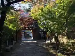 齢延寺の景色