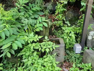 東山稲荷神社の手水舎
