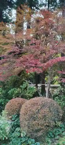 龍潭寺(静岡県)