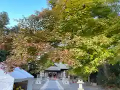 國魂神社の自然