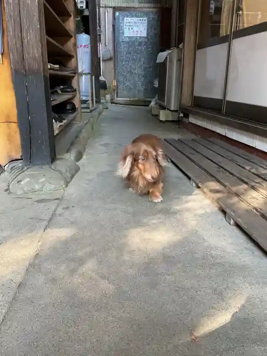 古井の天狗山(岐阜県)