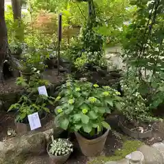 瀬戸神社(神奈川県)