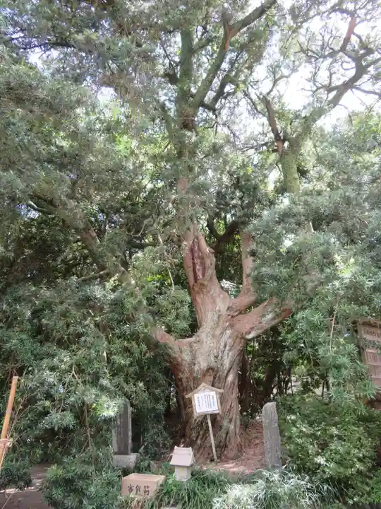 白羽神社の自然