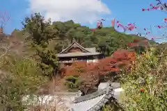 長谷寺の本殿