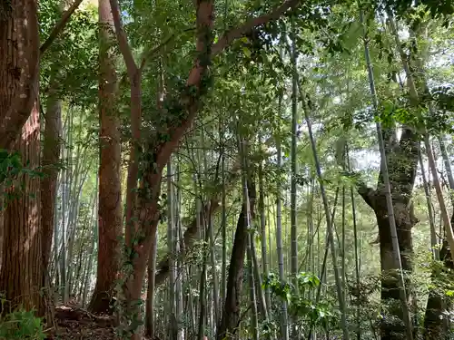 山口大神宮の周辺