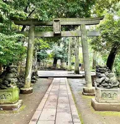 渋谷氷川神社の鳥居