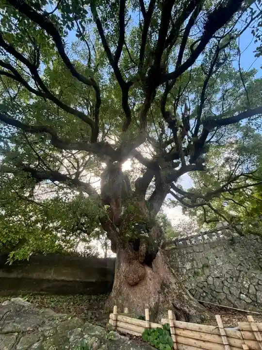 與止日女神社(佐賀県)