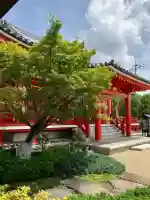 寳珠院(宝珠院)(大阪府)