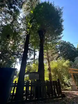子之神社(静岡県)