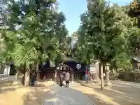 玉作湯神社(島根県)