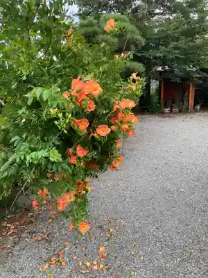 妙覚寺(神奈川県)