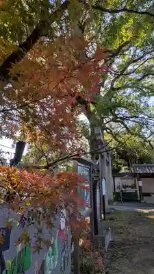 新熊野神社(京都府)