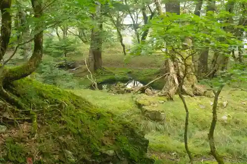 大峯山寺の自然