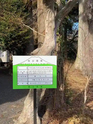熊野神社(静岡県)