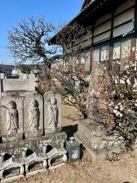 天王院の{uncategorized: "未分類", other: "その他", undefined: "問題あり", building: "その他建物", grave: "お墓", sacred_gate: "鳥居", guardian: "狛犬", statue: "像", buddha: "仏像", history: "歴史", nature: "自然", garden: "庭園", animal: "動物", pagoda: "塔", temizu: "手水舎", mountain_gate: "山門・神門", sanctuary: "本殿・本堂", subordinate: "末社・摂社", art: "芸術", scenery: "景色", jizo: "地蔵", ema: "絵馬", goshuin: "御朱印", omikuji: "おみくじ", items: "授与品その他", amulet: "お守り", goshuincho: "御朱印帳", eats: "食事", festival: "お祭り", votive_dance: "神楽", shichigosan: "七五三参", wedding: "結婚式", experience: "体験その他", initially: "初詣", around: "周辺", anti_infection: "感染症対策"}