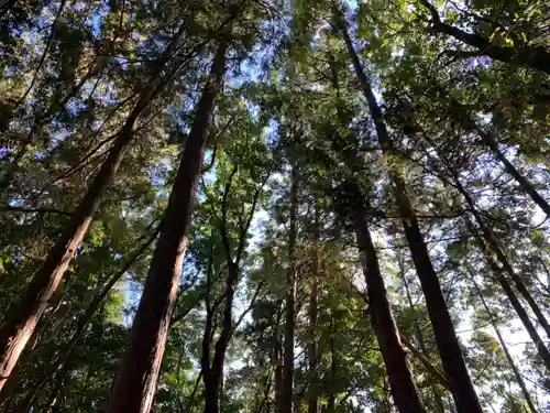 浅間神社の自然