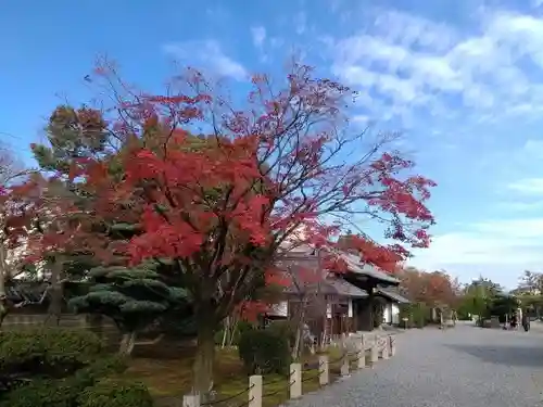 三十三間堂本坊　妙法院門跡の庭園