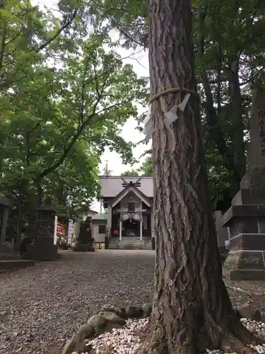 星置神社(北海道)