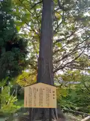 花巻神社の歴史