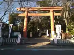 世田谷八幡宮の鳥居