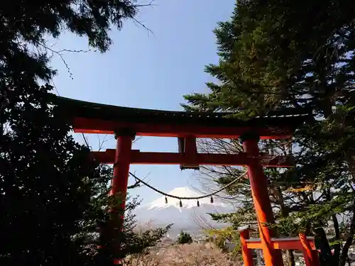 新倉富士浅間神社の鳥居