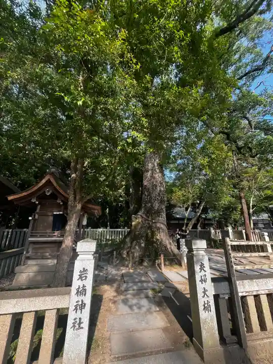 伊弉諾神宮(兵庫県)