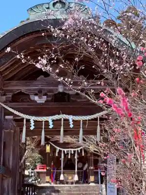 常宮神社(福井県)