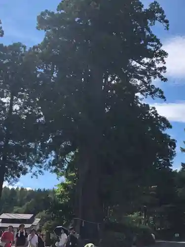 戸隠神社中社(長野県)