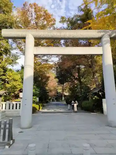 阿佐ヶ谷神明宮の鳥居