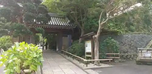 報国寺の山門