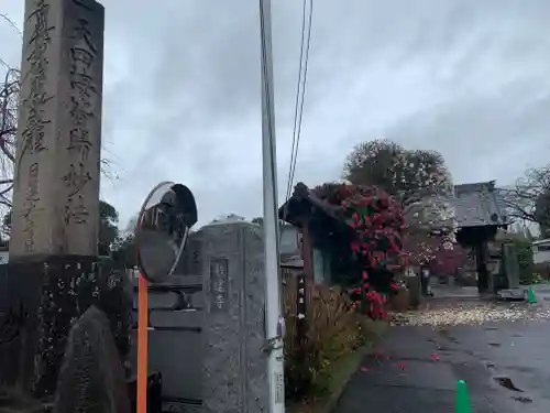 妙建寺の山門