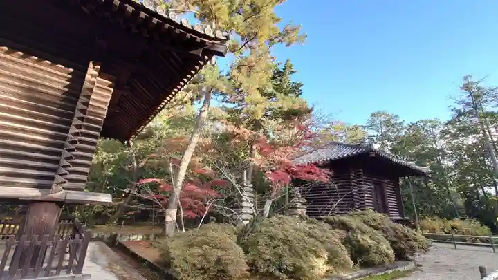唐招提寺の庭園