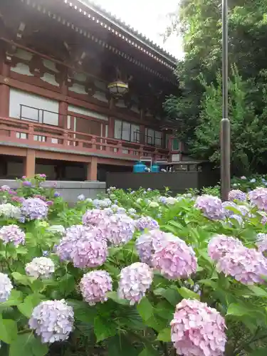 根来寺 智積院の庭園